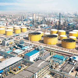 石油化工哔咔漫画成长人版